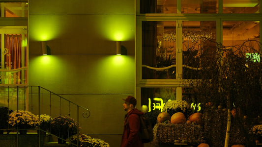 Person walks past outdoor flower display at night.